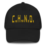 Melanin Compound Dad Hat